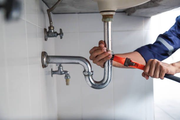 Best Residential Plumbing Services  in Ormond Beach, FL